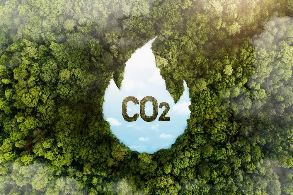 Capture, utilisation et stockage du carbone (CCUS)